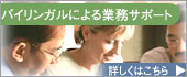 バイリンガルによる業務サポート